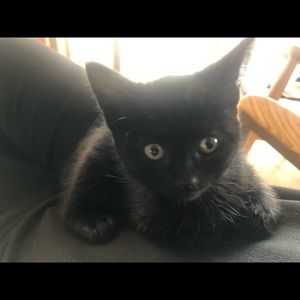 Meet your Posher, Caroline